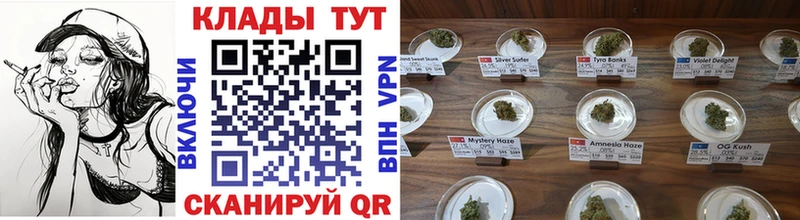 Купить наркотики цена Кинешма Канабис  Alpha PVP  МЕГА рабочий сайт  Гашиш 